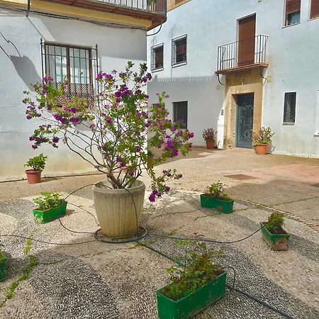 Apartamento La Sacristia De San Pablo Córdoba Exterior foto